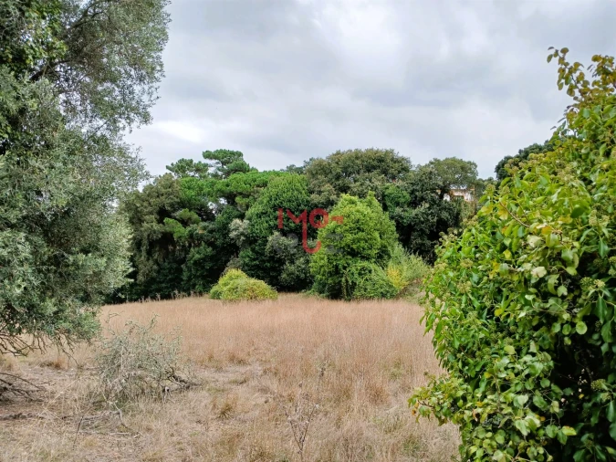 Terreno para Venda em Nossa Senhora do Pópulo, Coto e São Gregório Foto 8