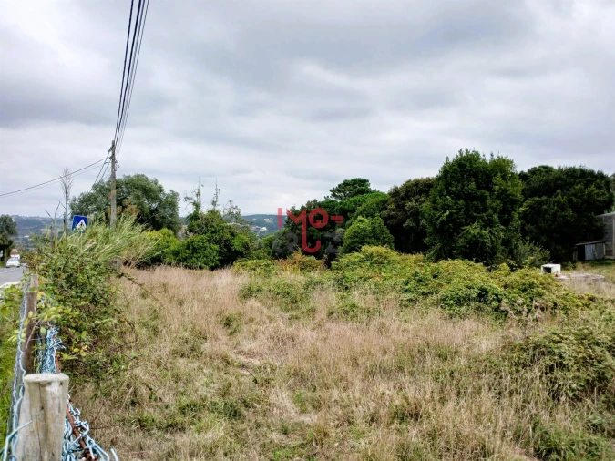 Terreno para Venda em Nossa Senhora do Pópulo, Coto e São Gregório Foto 3