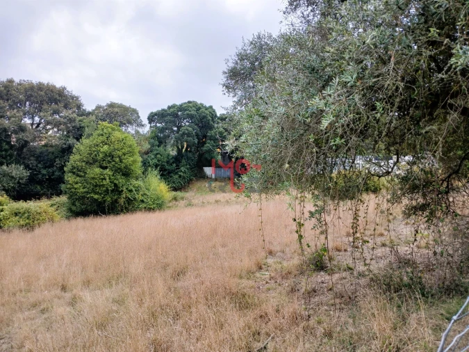 Terreno para Venda em Nossa Senhora do Pópulo, Coto e São Gregório Foto 4