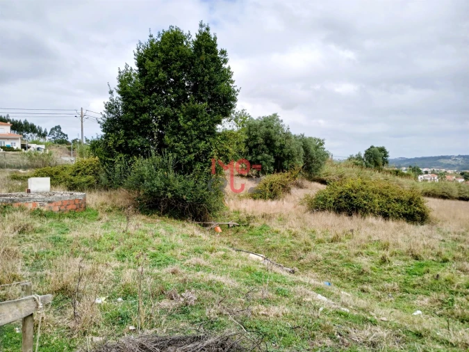 Terreno para Venda em Nossa Senhora do Pópulo, Coto e São Gregório Foto 6