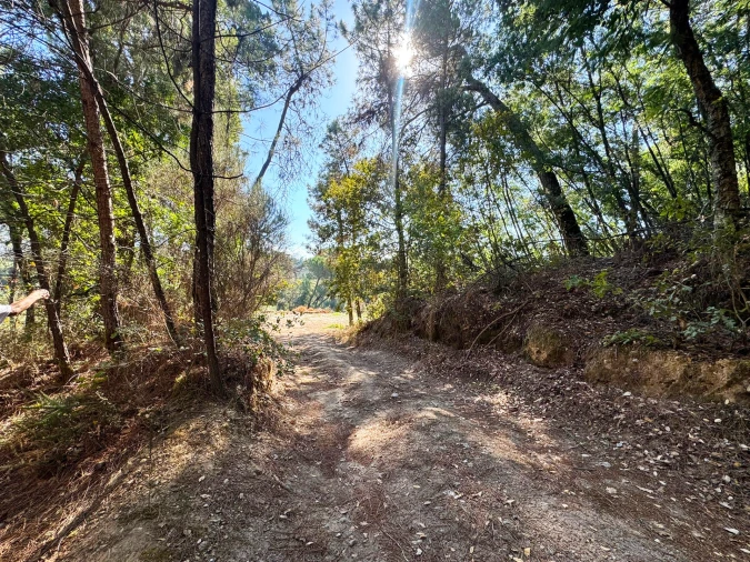 Quinta T3 para Venda em Castelões Foto 29