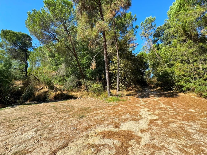 Quinta T3 para Venda em Castelões Foto 31