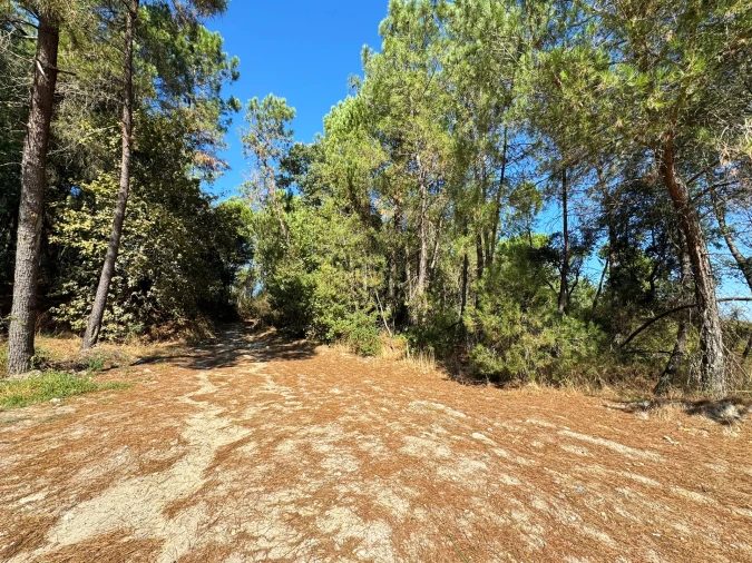 Quinta T3 para Venda em Castelões Foto 32