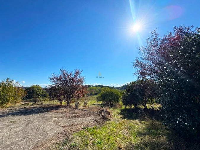 Quinta T3 para Venda em Castelões Foto 17