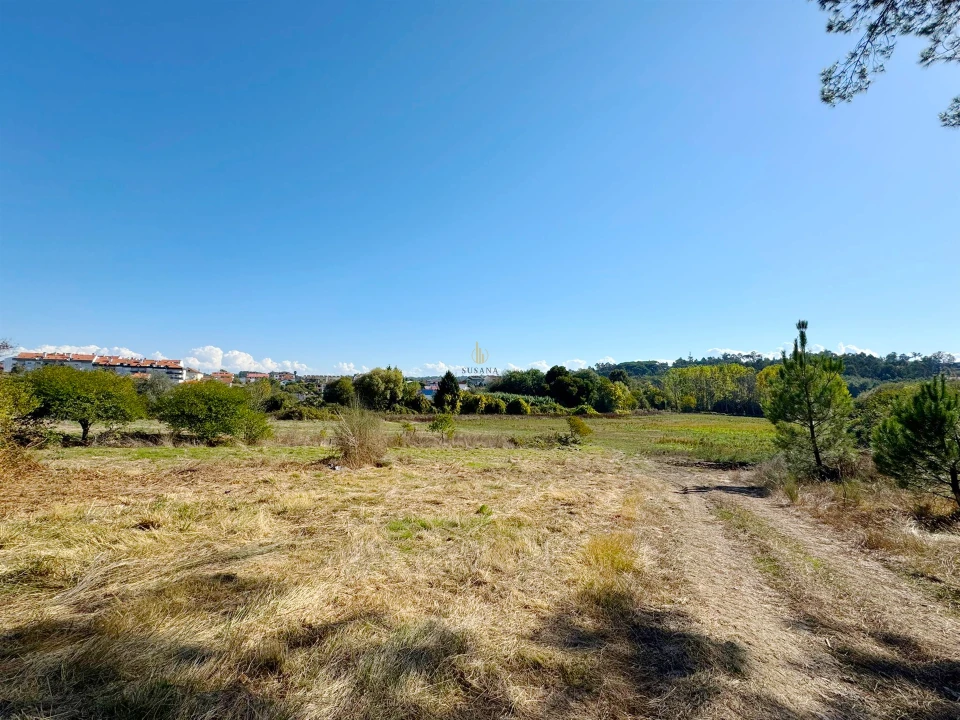 Quinta T3 para Venda em Castelões Foto 35