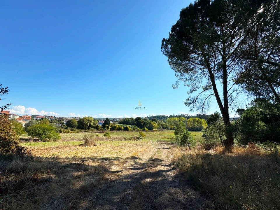 Quinta T3 para Venda em Castelões Foto 30