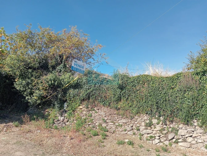 Terreno para Venda em Vilarinho da Castanheira Foto 9