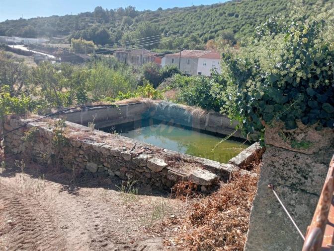 Terreno para Venda em Vilarinho da Castanheira Foto 5