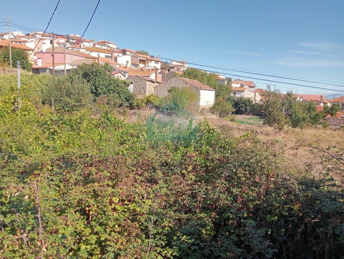 Terreno para Venda em Vilarinho da Castanheira Foto 8