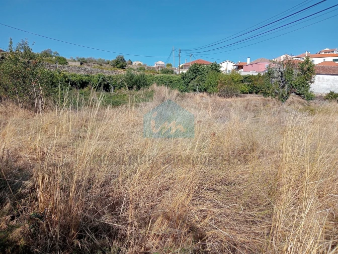 Terreno para Venda em Vilarinho da Castanheira Foto 7