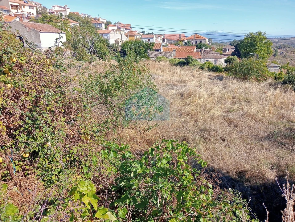 Terreno para Venda em Vilarinho da Castanheira Foto 6