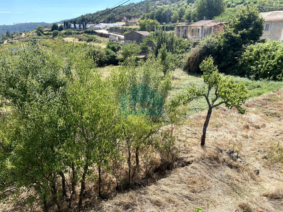 Terreno para Venda em Vilarinho da Castanheira Foto 3