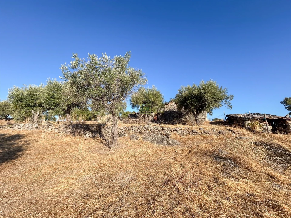 Quinta T0 para Venda em São Miguel de Acha Foto 55