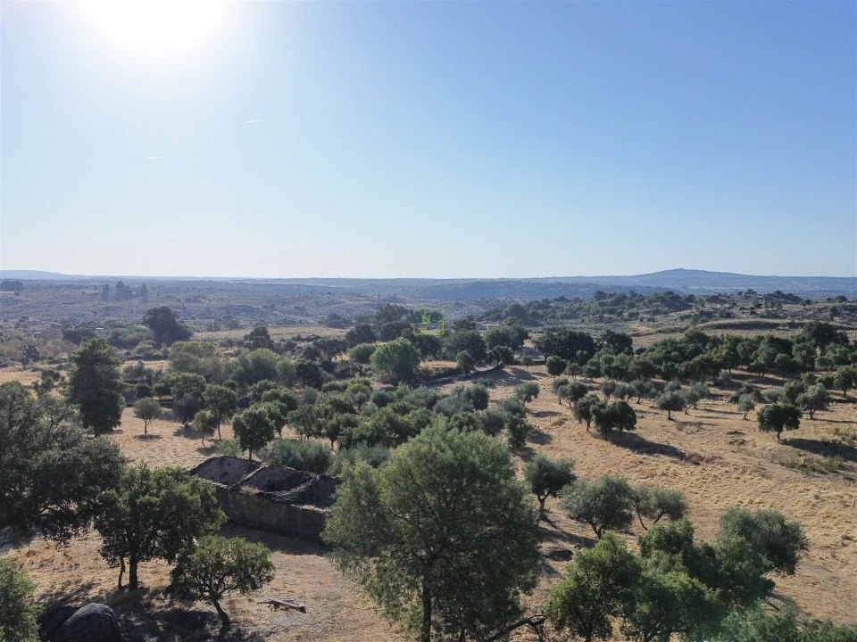 Quinta T0 para Venda em São Miguel de Acha Foto 8