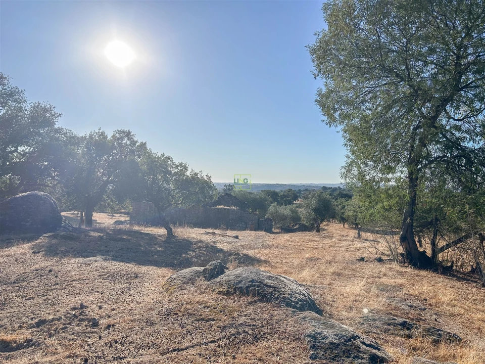 Quinta T0 para Venda em São Miguel de Acha Foto 65