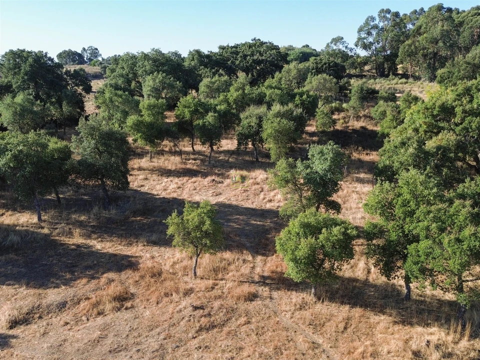 Quinta T0 para Venda em São Miguel de Acha Foto 27