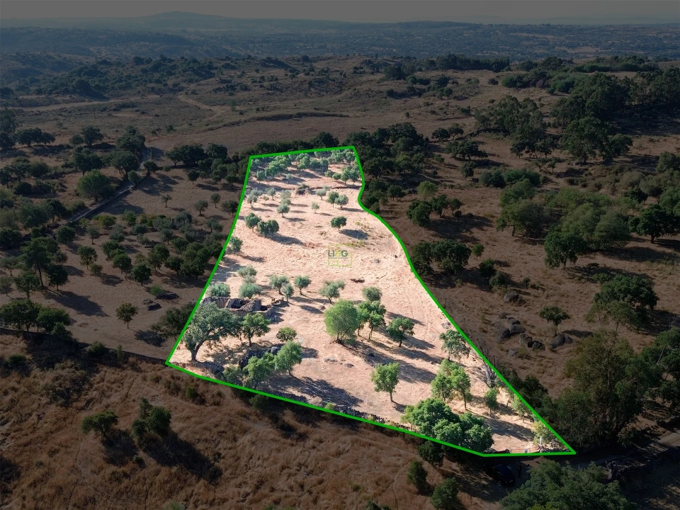 Quinta T0 para Venda em São Miguel de Acha Foto 32