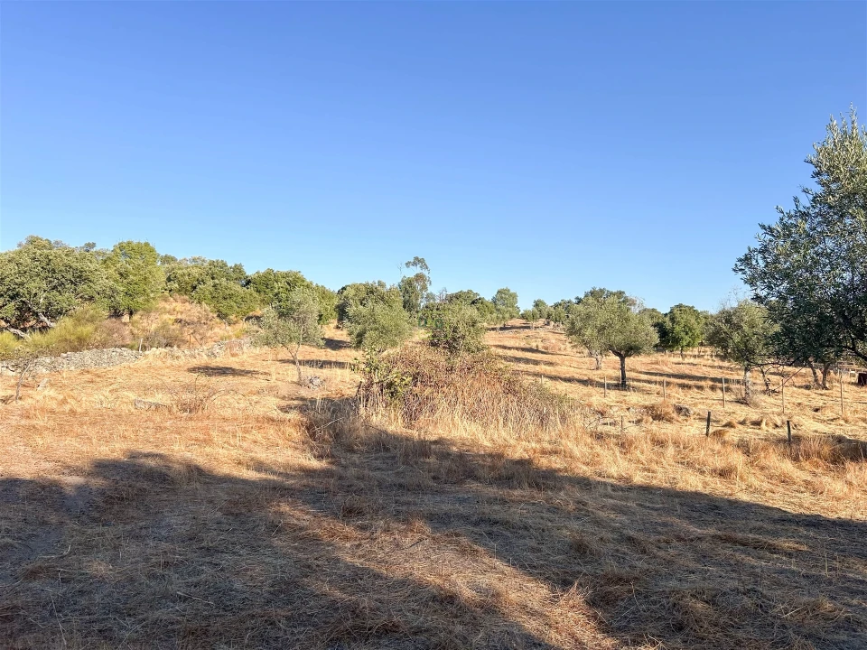 Quinta T0 para Venda em São Miguel de Acha Foto 44