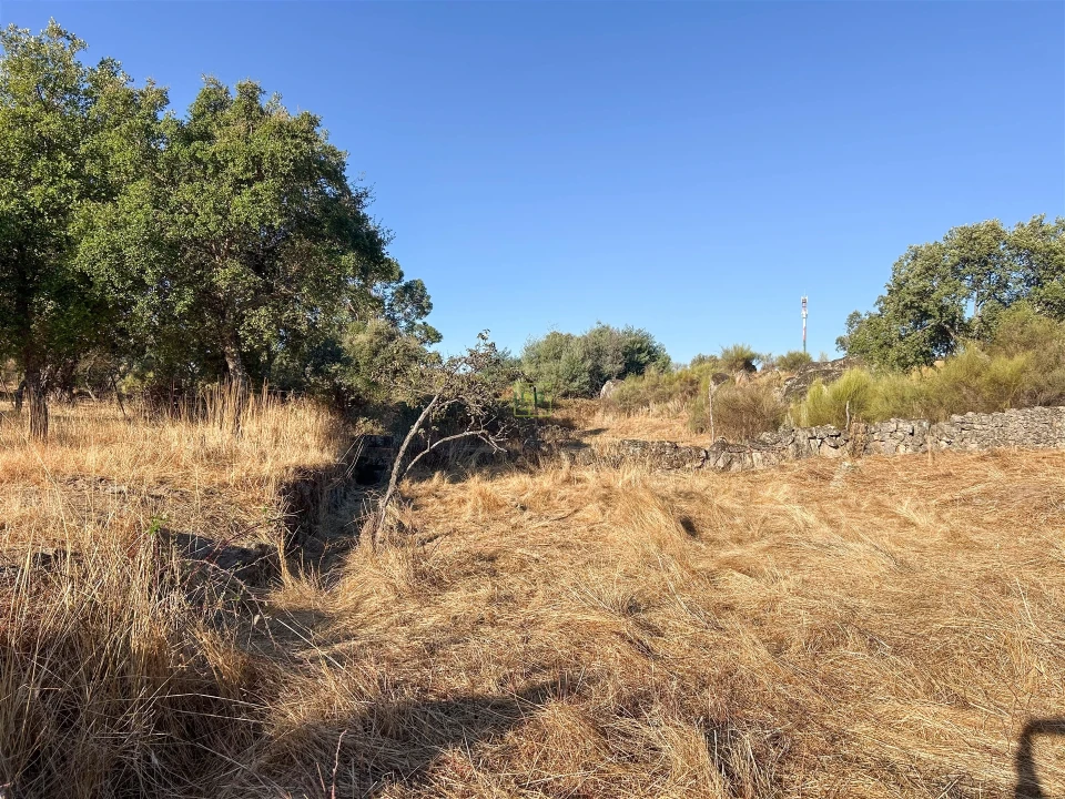 Quinta T0 para Venda em São Miguel de Acha Foto 42