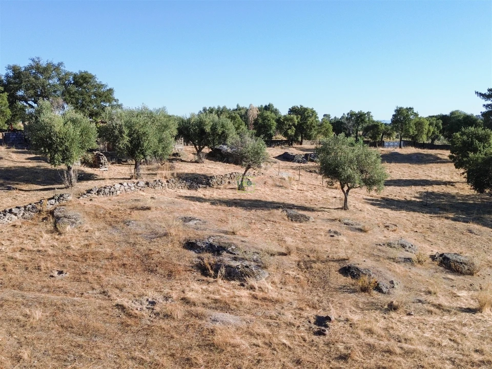Quinta T0 para Venda em São Miguel de Acha Foto 22