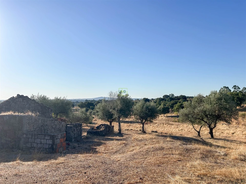 Quinta T0 para Venda em São Miguel de Acha Foto 64