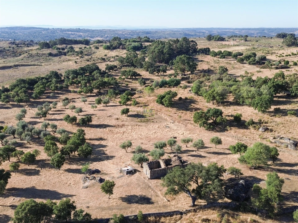 Quinta T0 para Venda em São Miguel de Acha Foto 33