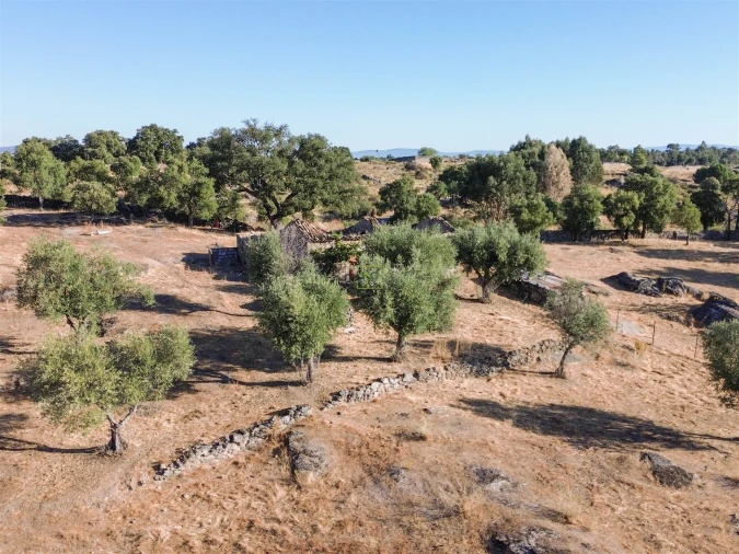 Quinta T0 para Venda em São Miguel de Acha Foto 18