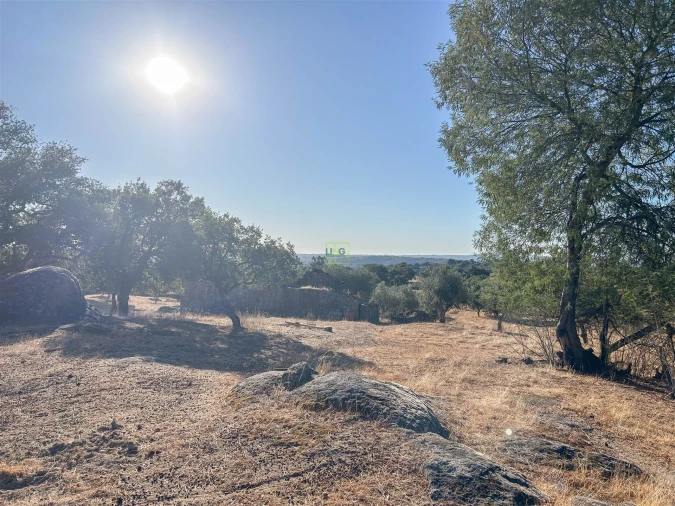 Quinta T0 para Venda em São Miguel de Acha Foto 65