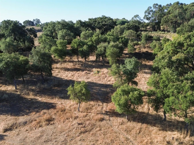 Quinta T0 para Venda em São Miguel de Acha Foto 27