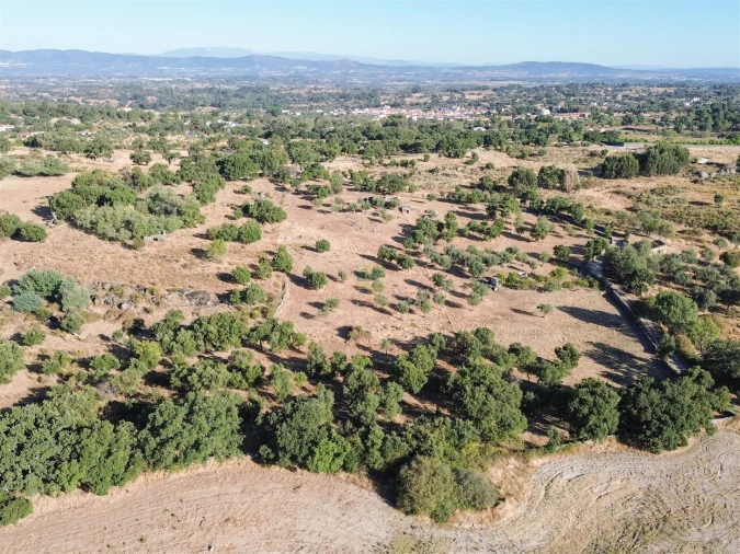 Quinta T0 para Venda em São Miguel de Acha Foto 34
