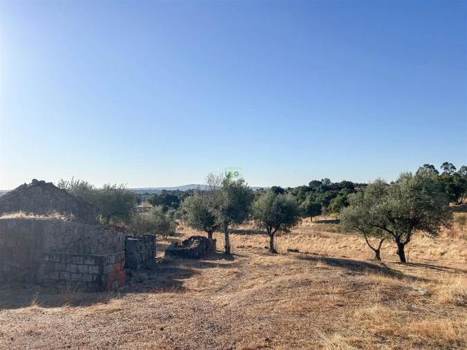 Quinta T0 para Venda em São Miguel de Acha Foto 64