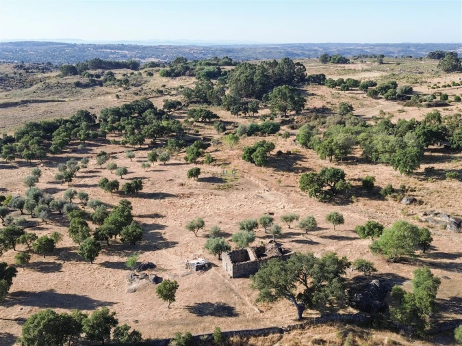Quinta T0 para Venda em São Miguel de Acha Foto 33