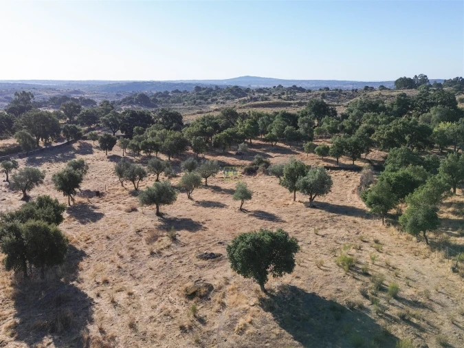 Quinta T0 para Venda em São Miguel de Acha Foto 20