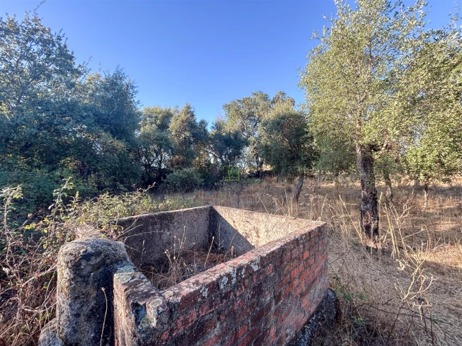 Quinta T0 para Venda em São Miguel de Acha Foto 46