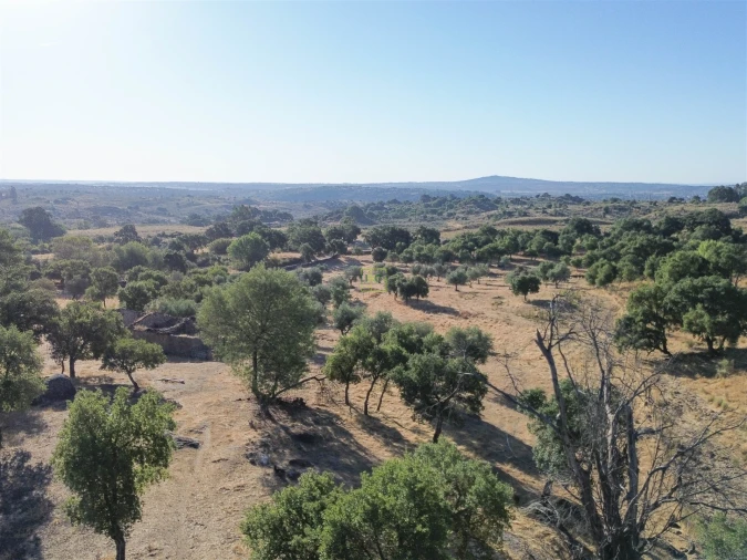 Quinta T0 para Venda em São Miguel de Acha Foto 3