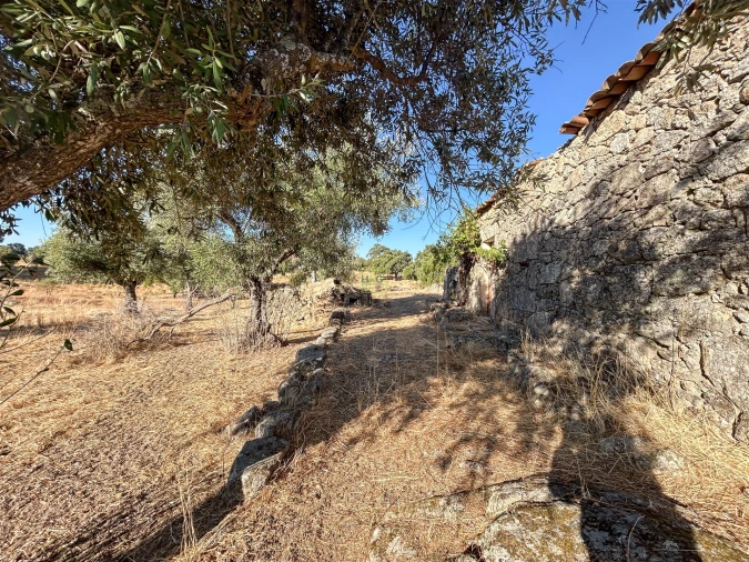 Quinta T0 para Venda em São Miguel de Acha Foto 57