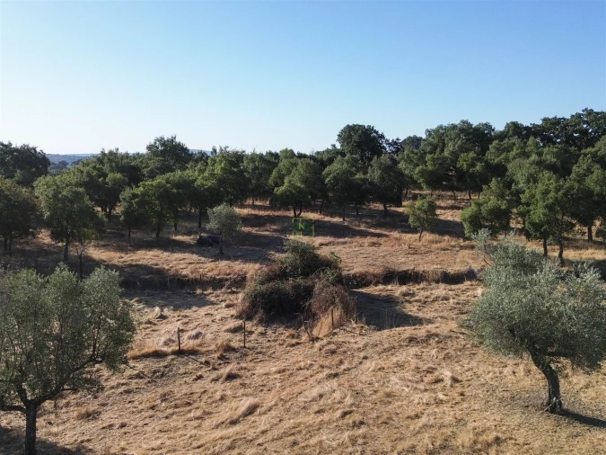 Quinta T0 para Venda em São Miguel de Acha Foto 24