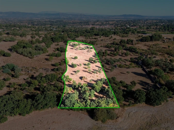 Quinta T0 para Venda em São Miguel de Acha Foto 35