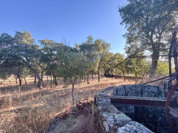 Quinta T0 para Venda em São Miguel de Acha Foto 47