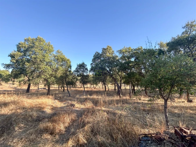 Quinta T0 para Venda em São Miguel de Acha Foto 48