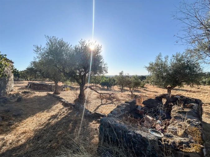 Quinta T0 para Venda em São Miguel de Acha Foto 62