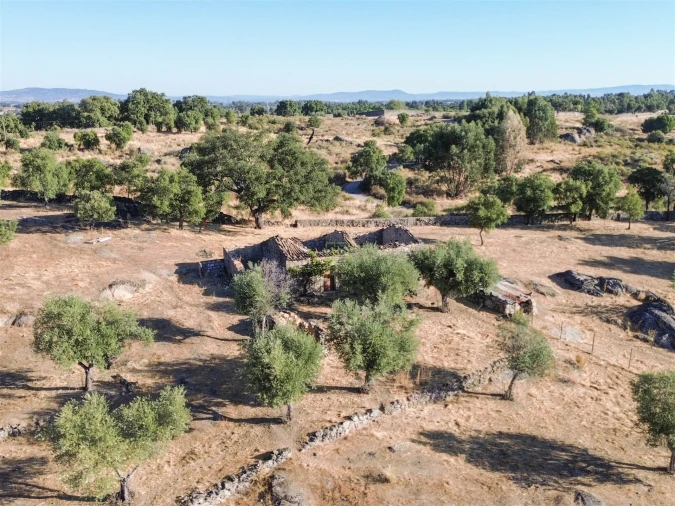 Quinta T0 para Venda em São Miguel de Acha Foto 17