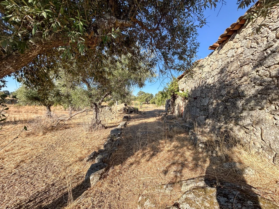 Quinta T0 para Venda em São Miguel de Acha Foto 57