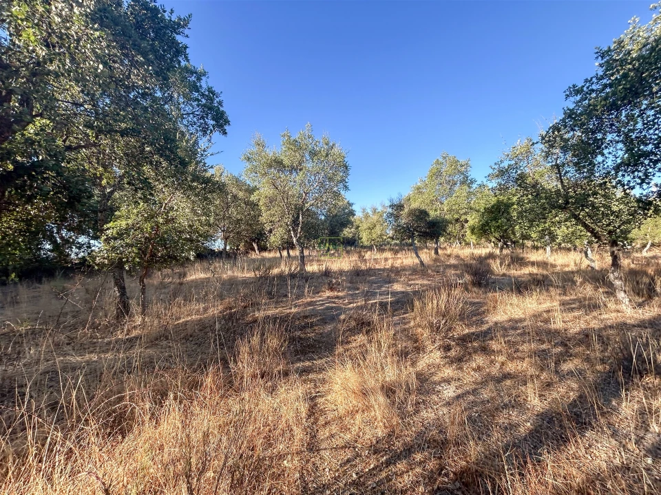 Quinta T0 para Venda em São Miguel de Acha Foto 51
