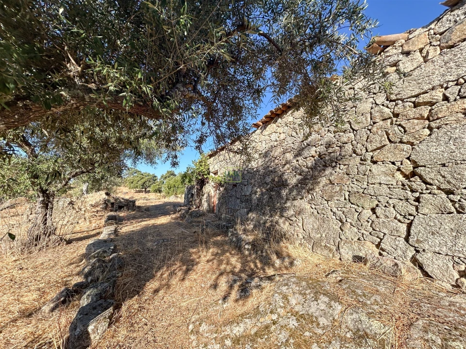 Quinta T0 para Venda em São Miguel de Acha Foto 56