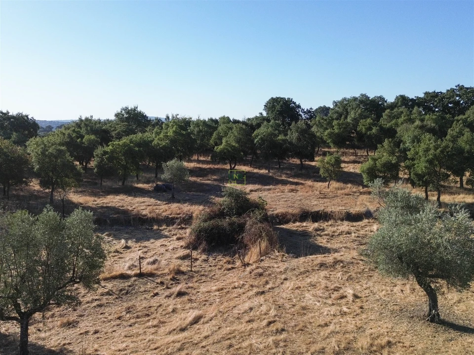 Quinta T0 para Venda em São Miguel de Acha Foto 24
