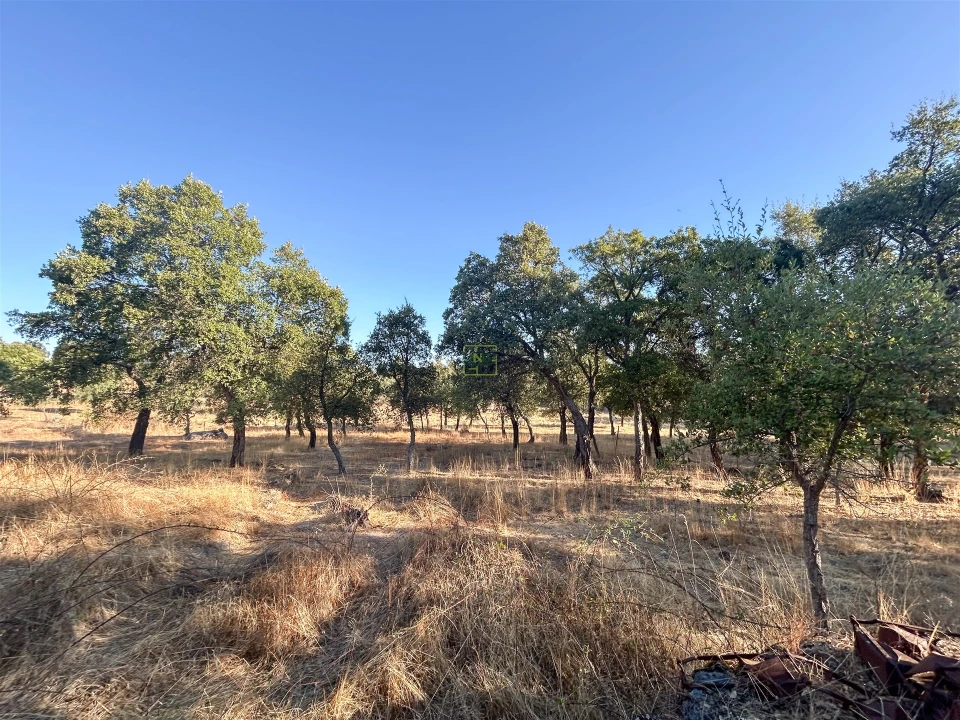 Quinta T0 para Venda em São Miguel de Acha Foto 48