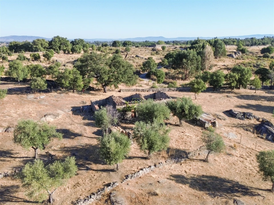 Quinta T0 para Venda em São Miguel de Acha Foto 17