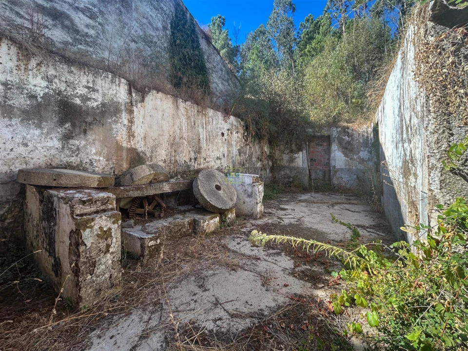 Quinta T0 para Venda em Capinha Foto 51