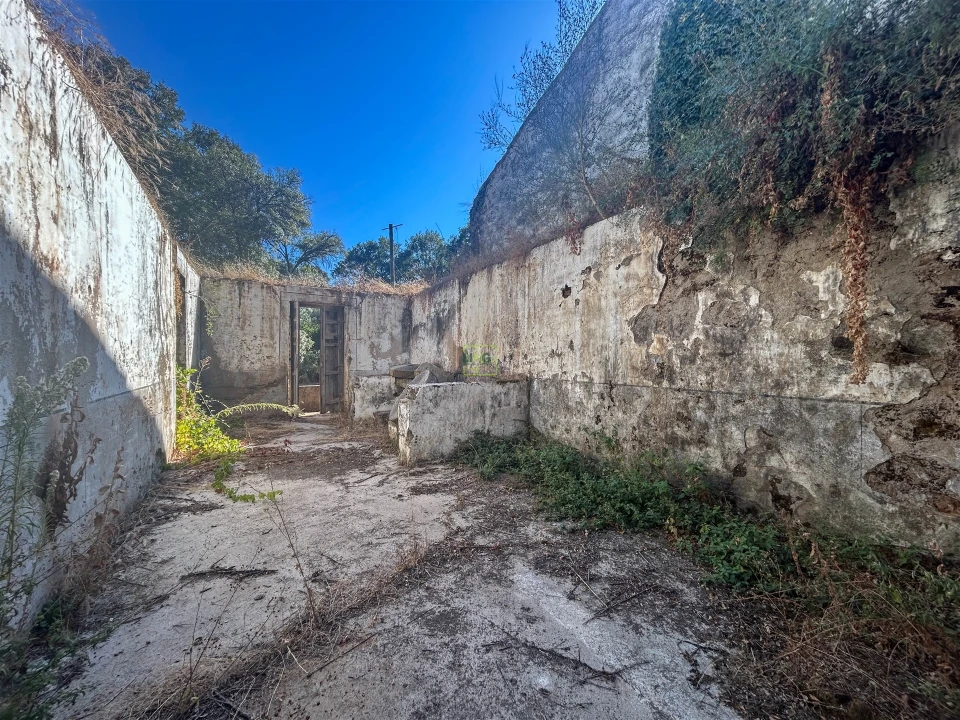 Quinta T0 para Venda em Capinha Foto 52